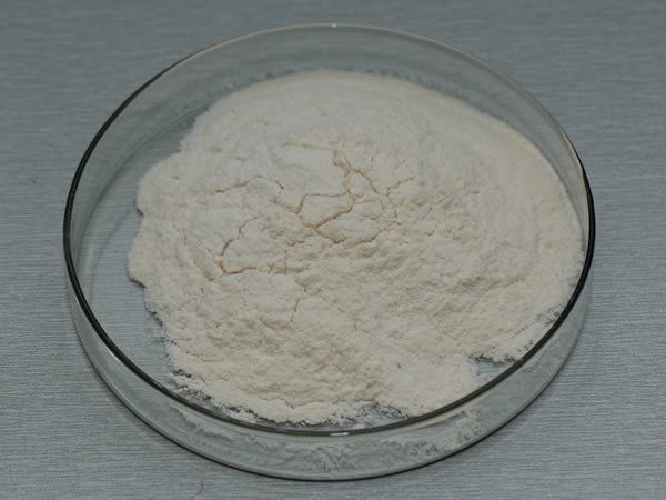 纖維素酶 cellulase