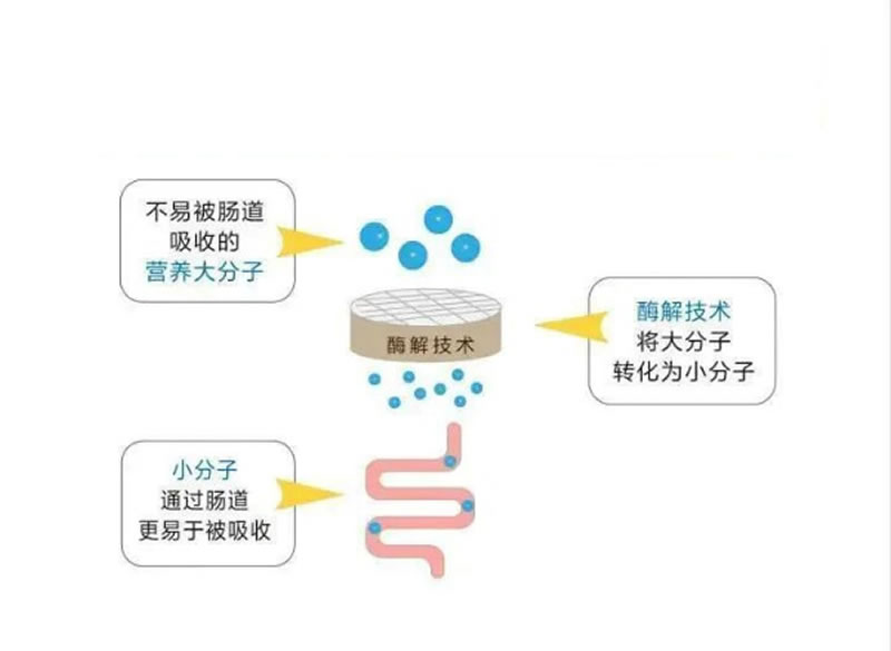 圖片 7_r1_c1